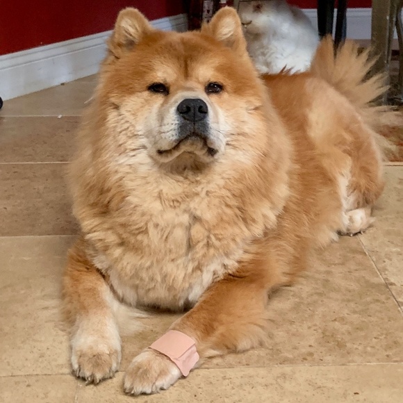 Meet your Posher, Melissa - Picture 2 of 2